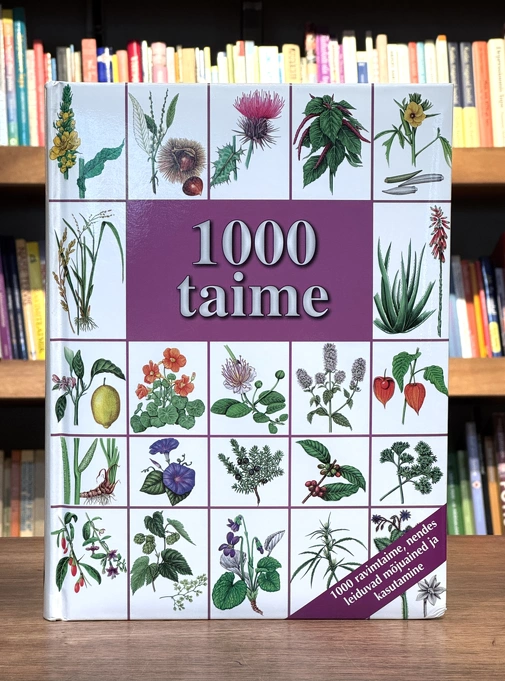 1000 taime