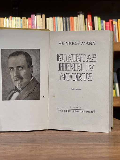 Kuningas Henri IV noorus