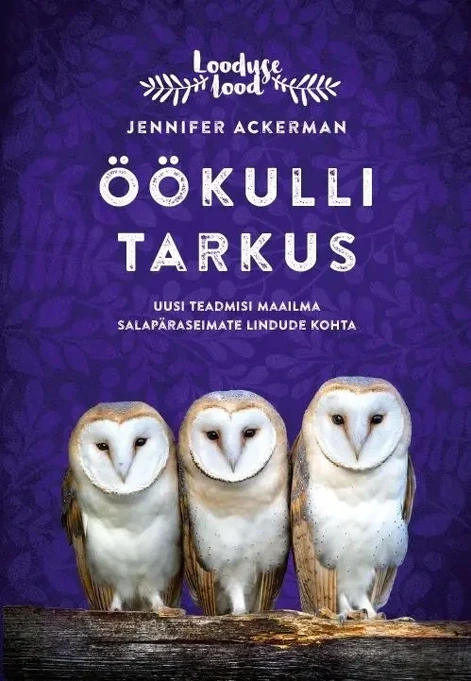 Öökulli tarkus