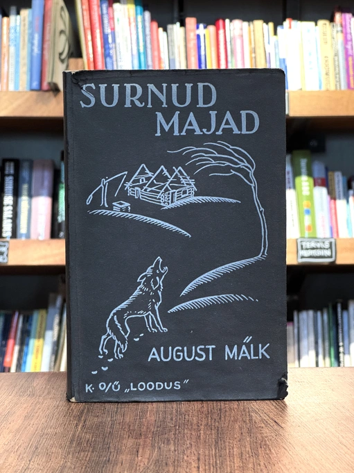 Surnud majad