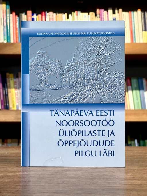 Tänapäeva Eesti noorsootöö üliõpilaste ja õppejõudude pilgu läbi 3