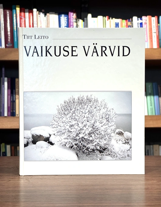 Vaikuse värvid